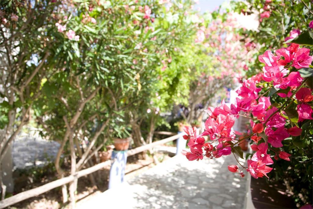 L'Oasi Villaggio Albergo Favignana Esterno foto