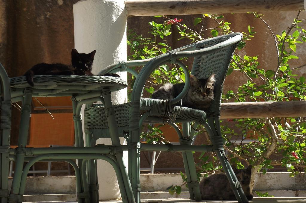 L'Oasi Villaggio Albergo Favignana Esterno foto